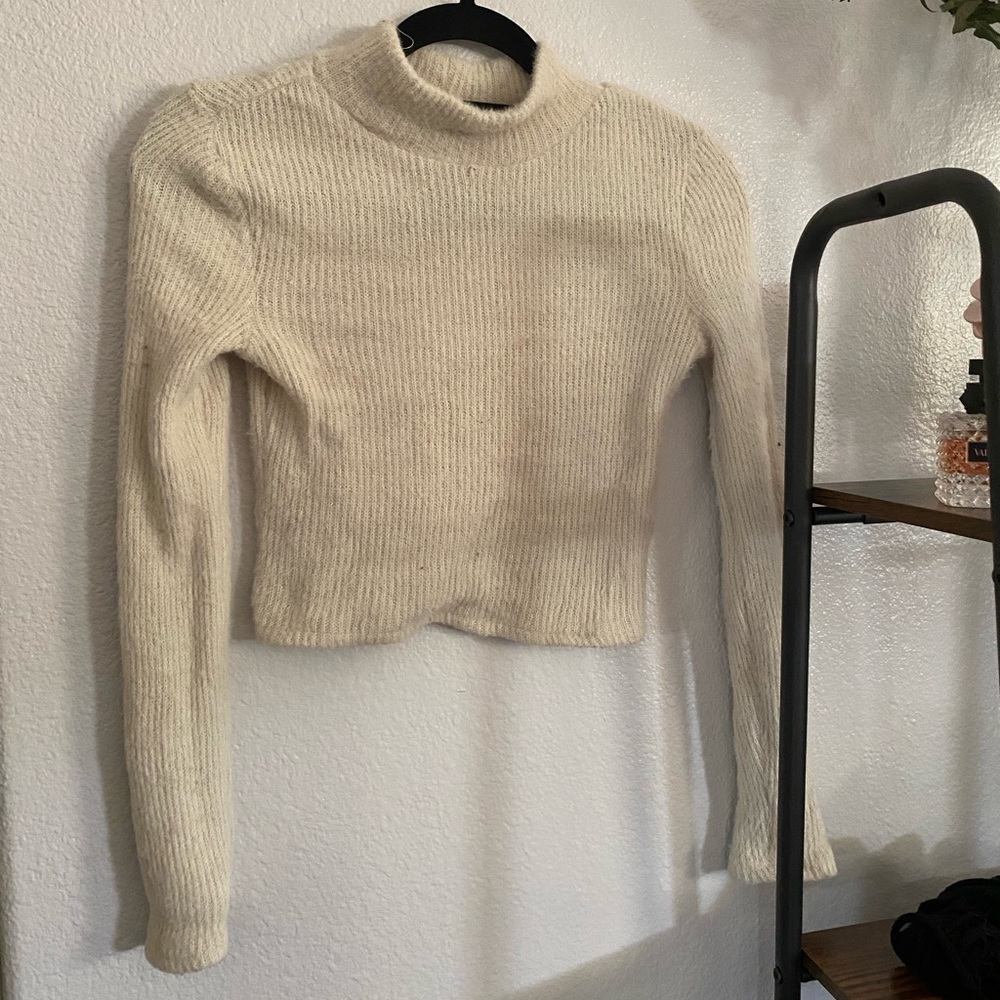 Zara fuzzy sweater